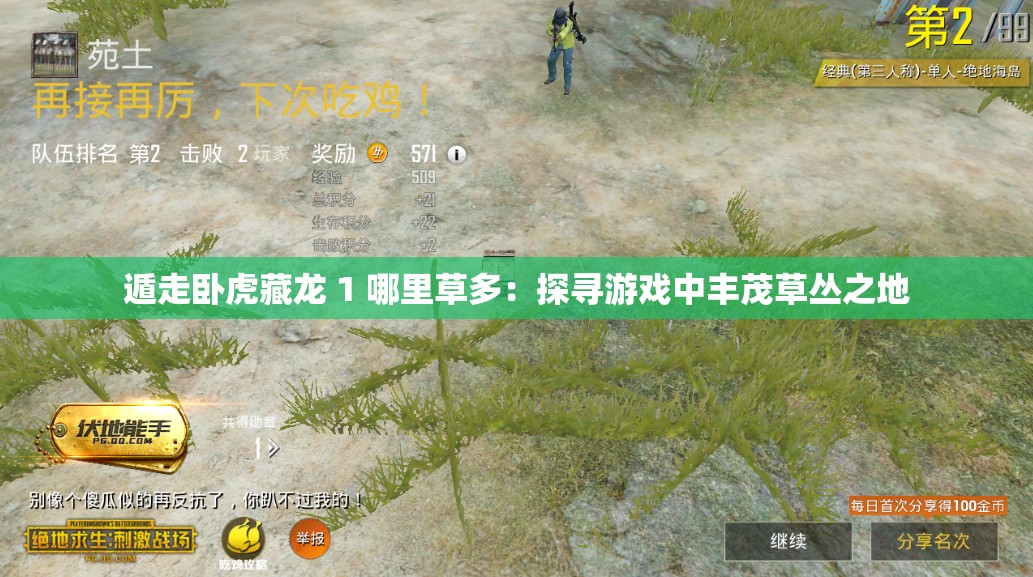 遁走卧虎藏龙 1 哪里草多：探寻游戏中丰茂草丛之地