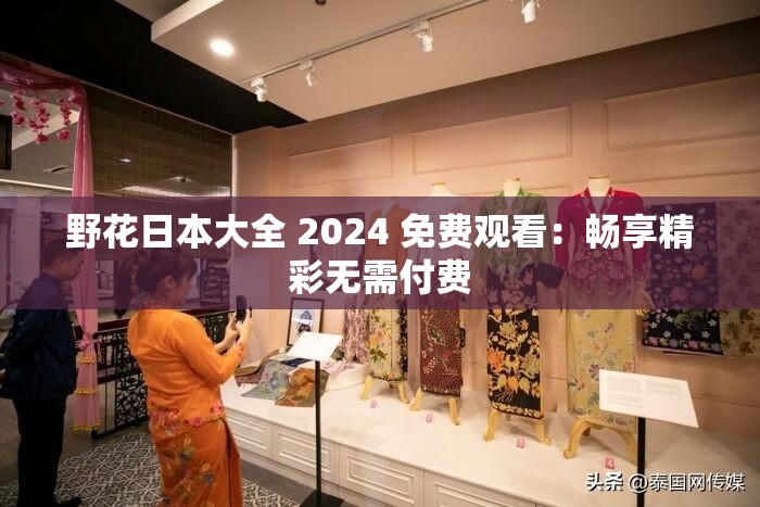 野花日本大全 2024 免费观看：畅享精彩无需付费