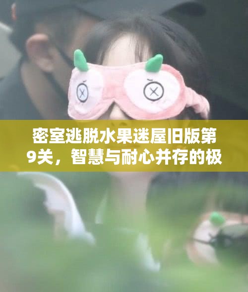 密室逃脱水果迷屋旧版第9关，智慧与耐心并存的极致解谜挑战之旅