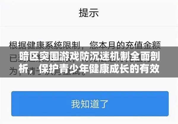 暗区突围游戏防沉迷机制全面剖析，保护青少年健康成长的有效策略