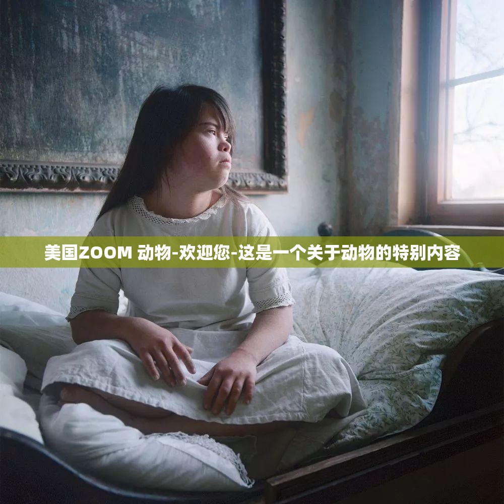 美国ZOOM 动物-欢迎您-这是一个关于动物的特别内容