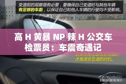 高 H 黄暴 NP 辣 H 公交车检票员：车震奇遇记