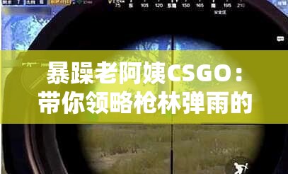 暴躁老阿姨CSGO：带你领略枪林弹雨的刺激战场