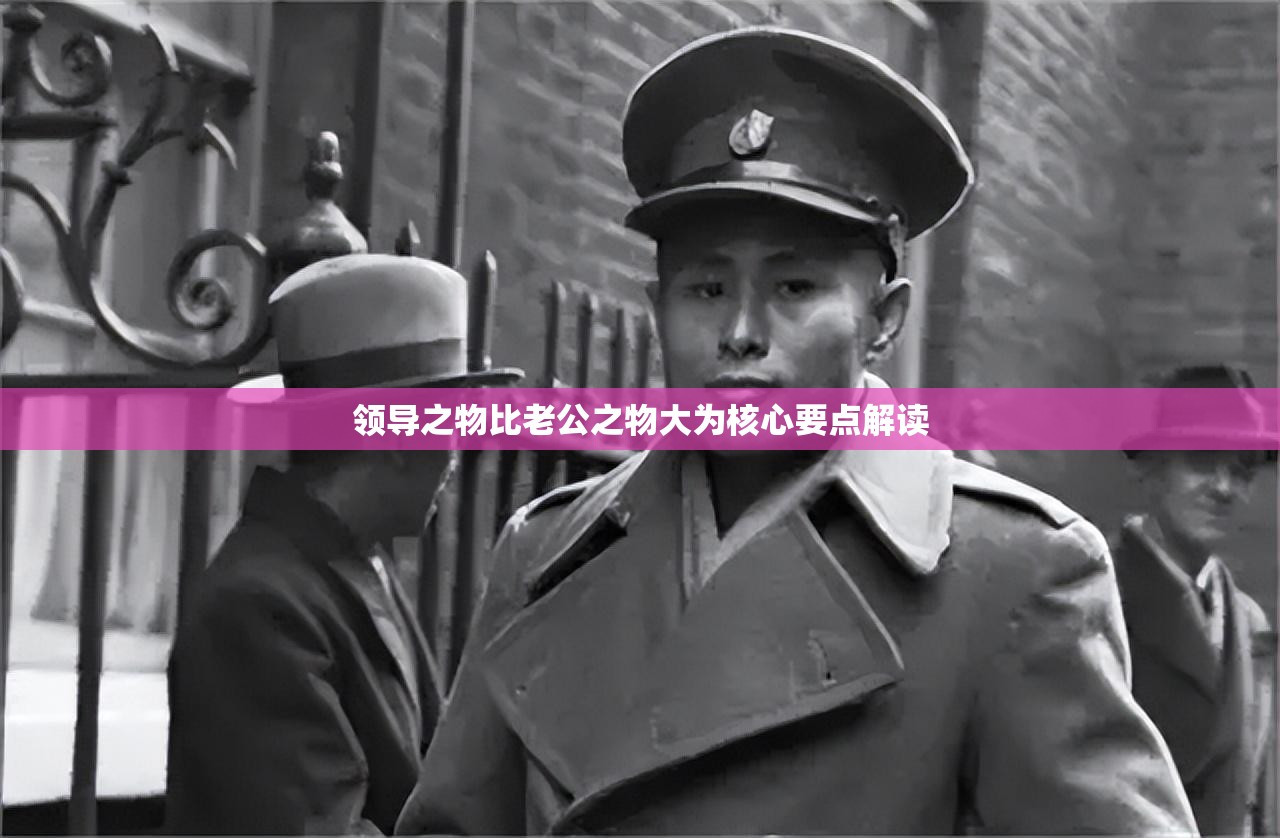 领导之物比老公之物大为核心要点解读