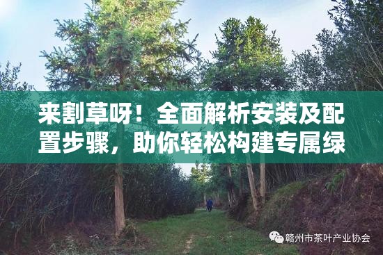 来割草呀！全面解析安装及配置步骤，助你轻松构建专属绿色乐园