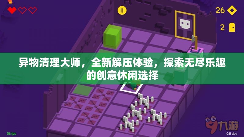 异物清理大师，全新解压体验，探索无尽乐趣的创意休闲选择