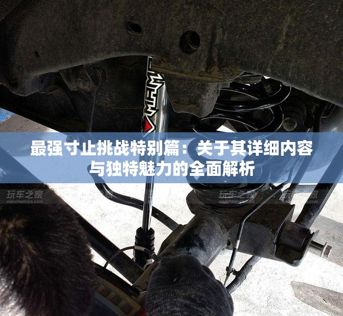 最强寸止挑战特别篇：关于其详细内容与独特魅力的全面解析