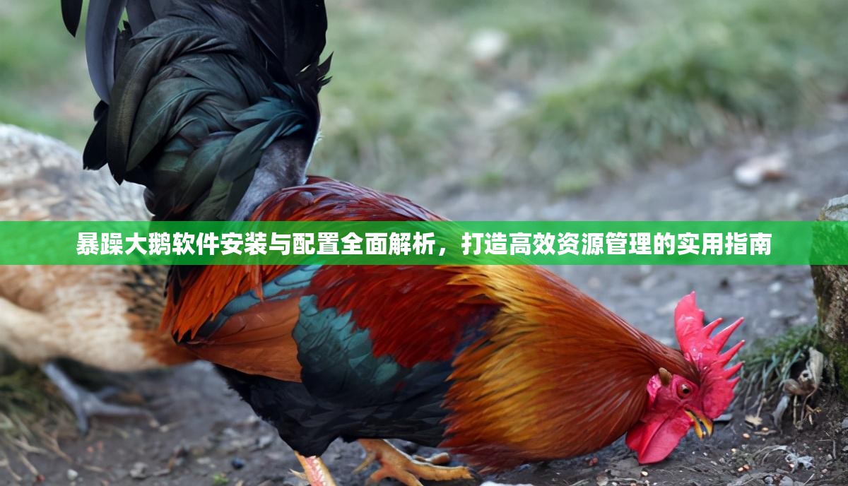 暴躁大鹅软件安装与配置全面解析，打造高效资源管理的实用指南