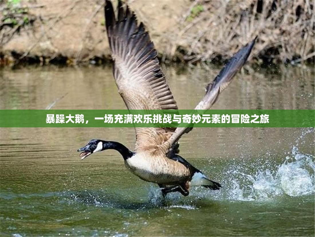 暴躁大鹅，一场充满欢乐挑战与奇妙元素的冒险之旅