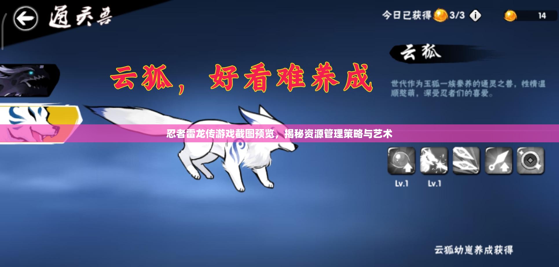 忍者雷龙传游戏截图预览，揭秘资源管理策略与艺术