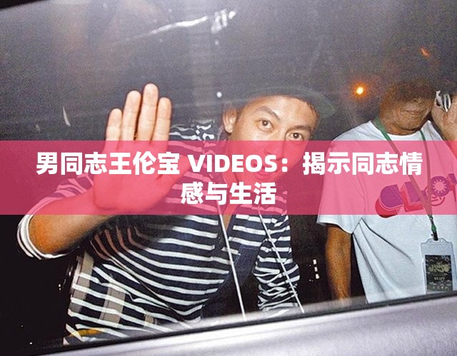 男同志王伦宝 VIDEOS：揭示同志情感与生活