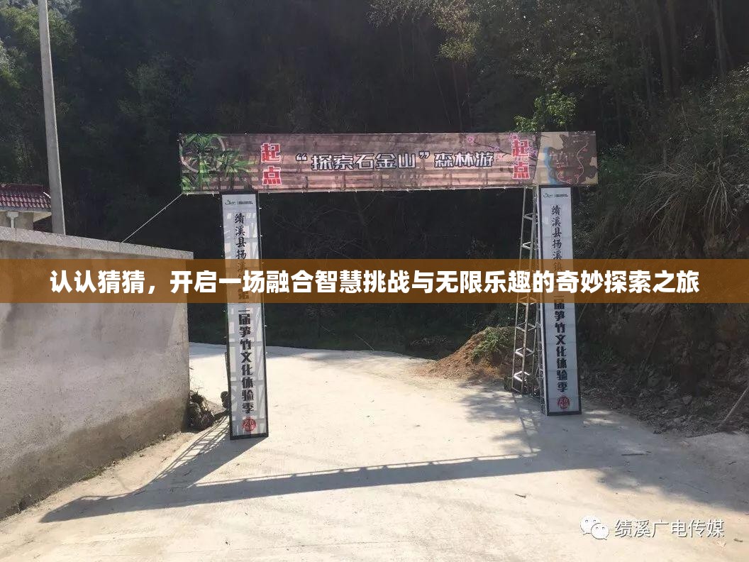 认认猜猜，开启一场融合智慧挑战与无限乐趣的奇妙探索之旅