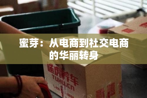 蜜芽：从电商到社交电商的华丽转身