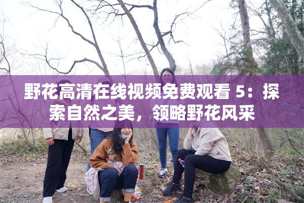 野花高清在线视频免费观看 5：探索自然之美，领略野花风采