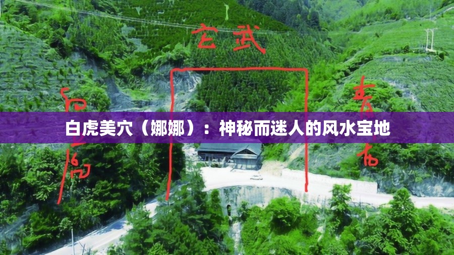 白虎美穴（娜娜）：神秘而迷人的风水宝地