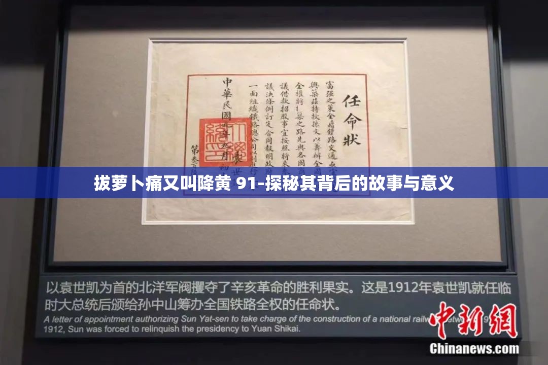 拔萝卜痛又叫降黄 91-探秘其背后的故事与意义