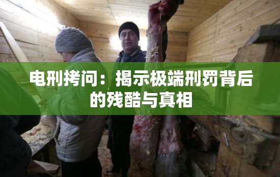 电刑拷问：揭示极端刑罚背后的残酷与真相