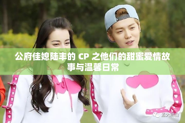 公府佳媳陆丰的 CP 之他们的甜蜜爱情故事与温馨日常