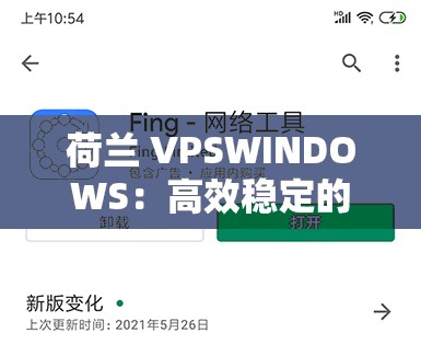 荷兰 VPSWINDOWS：高效稳定的网络服务提供商