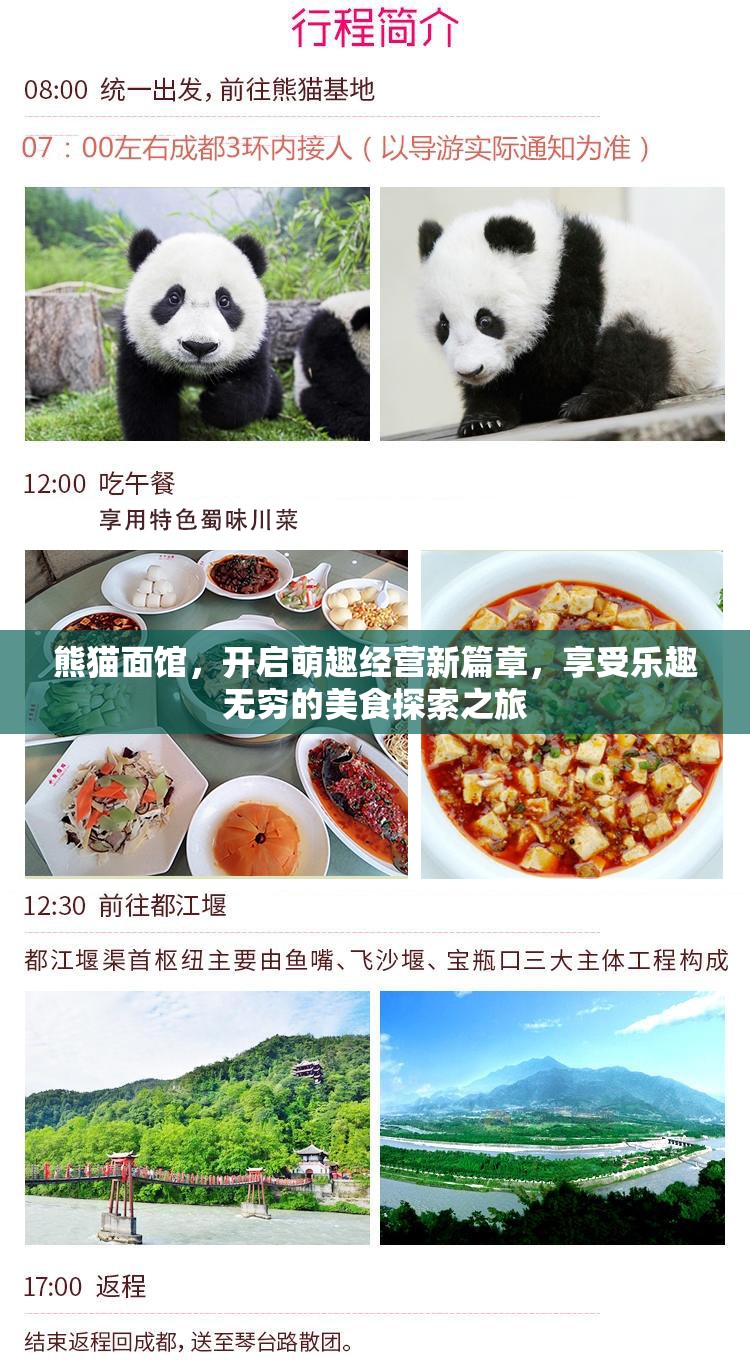 熊猫面馆，开启萌趣经营新篇章，享受乐趣无穷的美食探索之旅