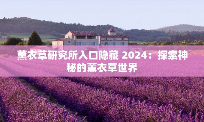 薰衣草研究所入口隐藏 2024：探索神秘的薰衣草世界