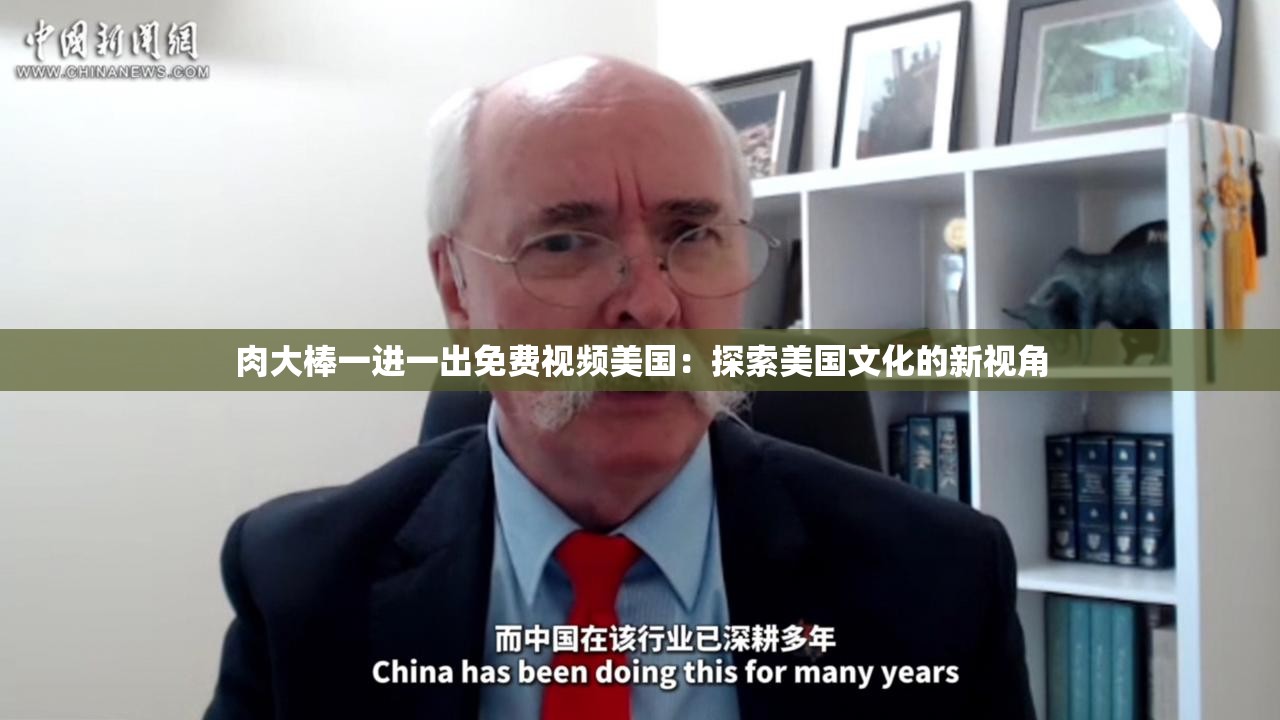 肉大棒一进一出免费视频美国：探索美国文化的新视角