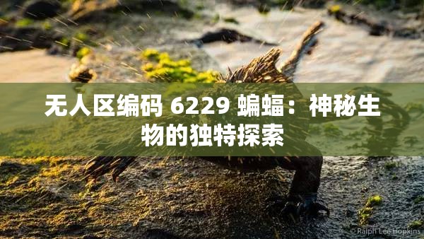 无人区编码 6229 蝙蝠：神秘生物的独特探索