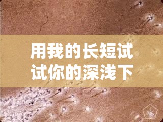 用我的长短试试你的深浅下句：探索未知的奇妙冒险之旅