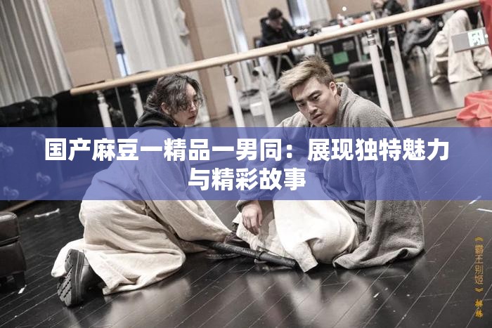 国产麻豆一精品一男同：展现独特魅力与精彩故事