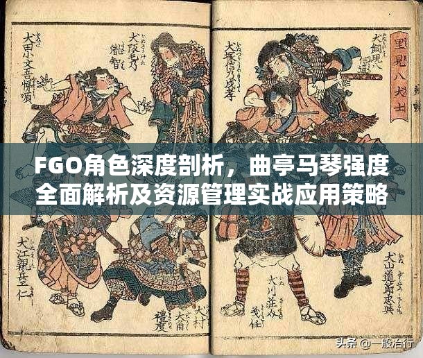 FGO角色深度剖析，曲亭马琴强度全面解析及资源管理实战应用策略