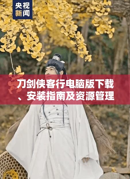 刀剑侠客行电脑版下载、安装指南及资源管理高效利用的重要性解析