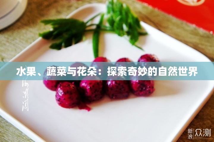 水果、蔬菜与花朵：探索奇妙的自然世界