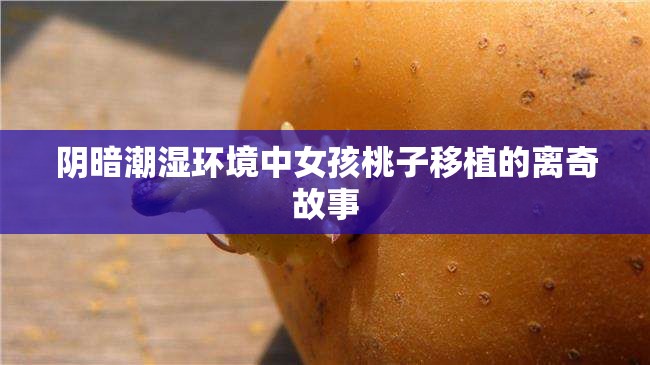 阴暗潮湿环境中女孩桃子移植的离奇故事