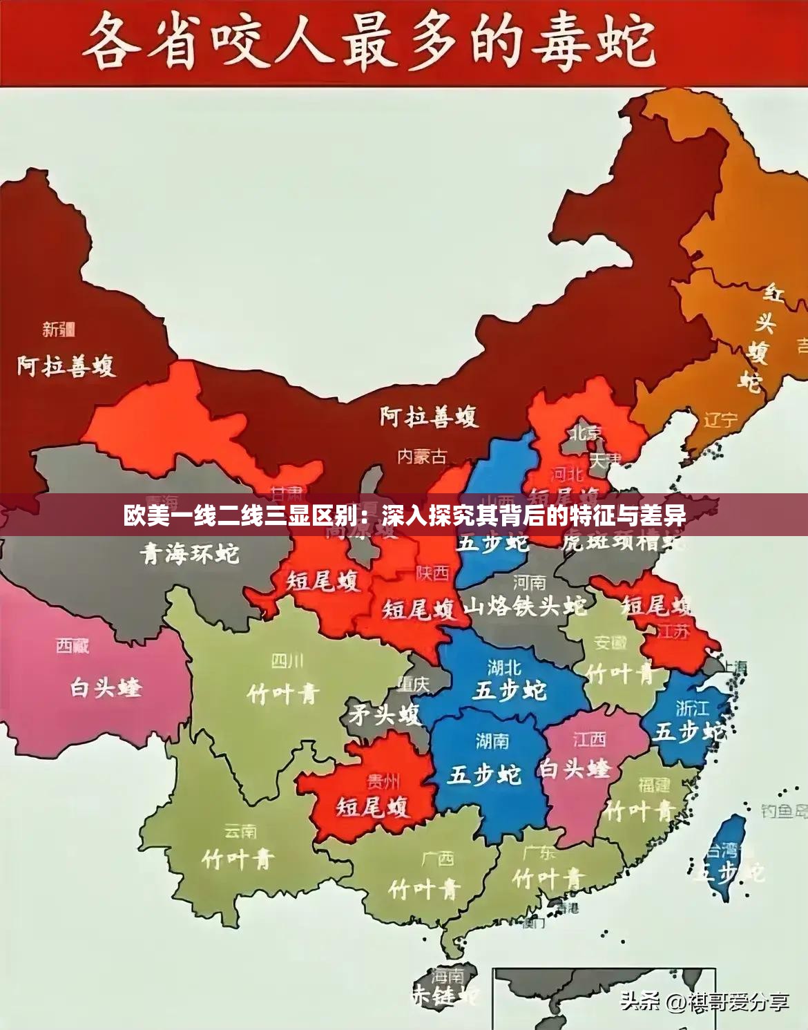 欧美一线二线三显区别：深入探究其背后的特征与差异