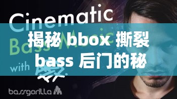 揭秘 bbox 撕裂 bass 后门的秘密：音乐背后的震撼力量