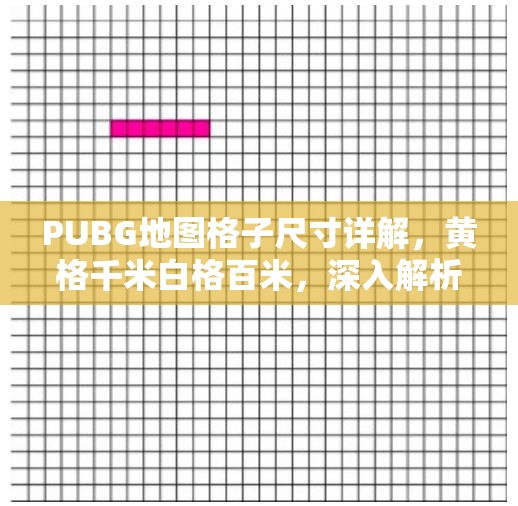 PUBG地图格子尺寸详解，黄格千米白格百米，深入解析地图构成