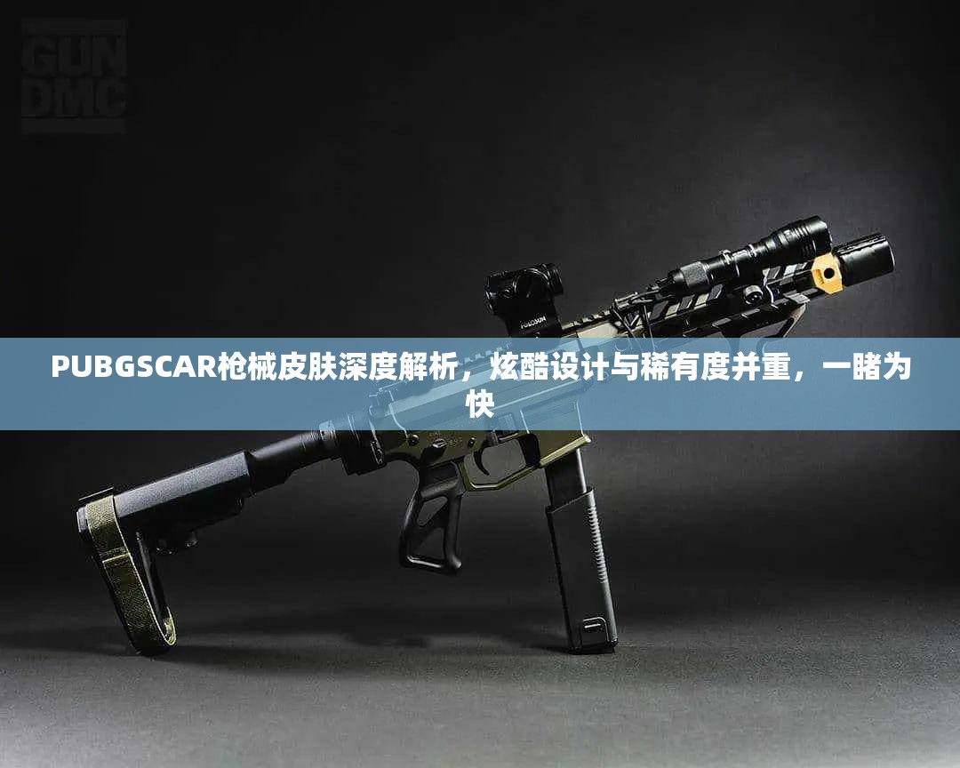 PUBGSCAR枪械皮肤深度解析，炫酷设计与稀有度并重，一睹为快