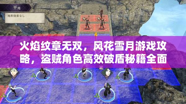火焰纹章无双，风花雪月游戏攻略，盗贼角色高效破盾秘籍全面解析