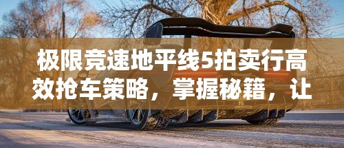 极限竞速地平线5拍卖行高效抢车策略，掌握秘籍，让梦想座驾轻松收入囊中