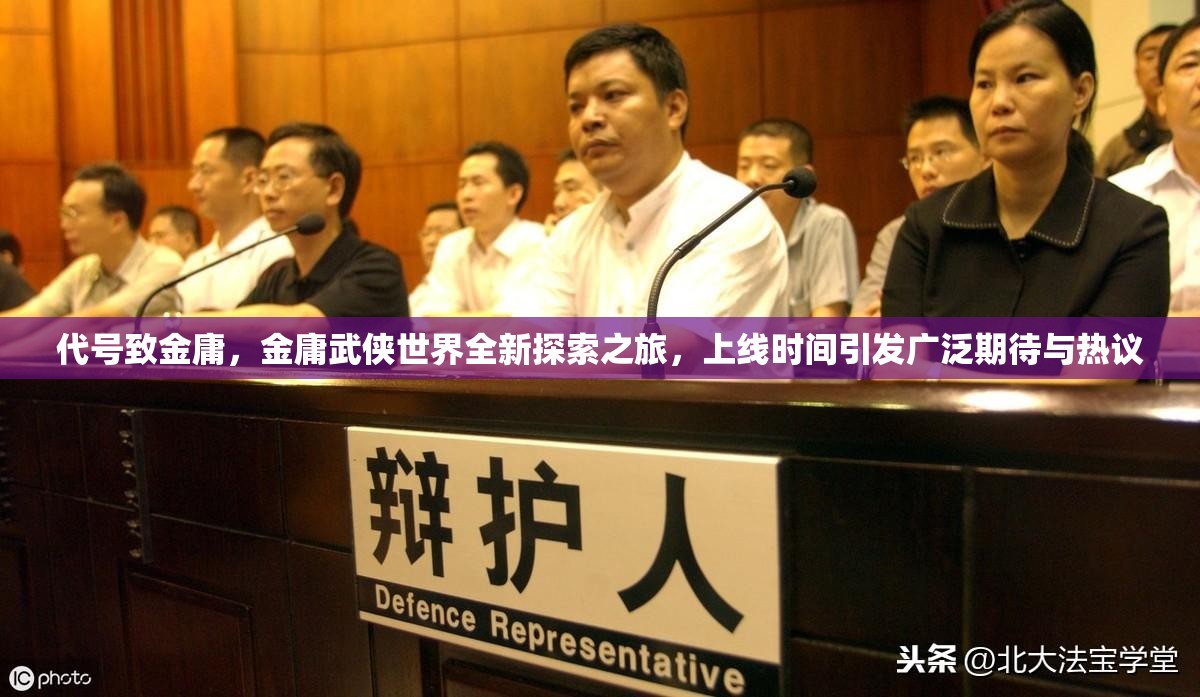 代号致金庸，金庸武侠世界全新探索之旅，上线时间引发广泛期待与热议