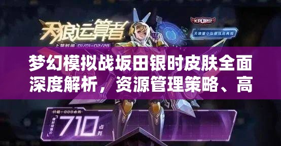 梦幻模拟战坂田银时皮肤全面深度解析，资源管理策略、高效利用技巧及价值最大化途径