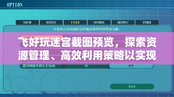 飞好玩迷宫截图预览，探索资源管理、高效利用策略以实现价值最大化