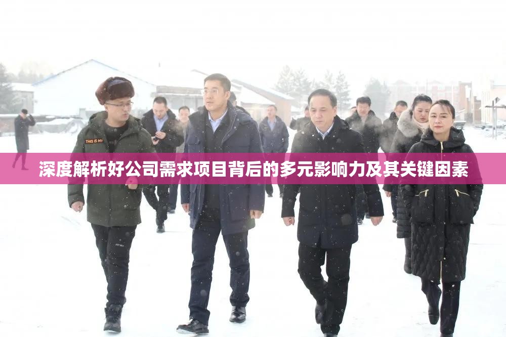深度解析好公司需求项目背后的多元影响力及其关键因素