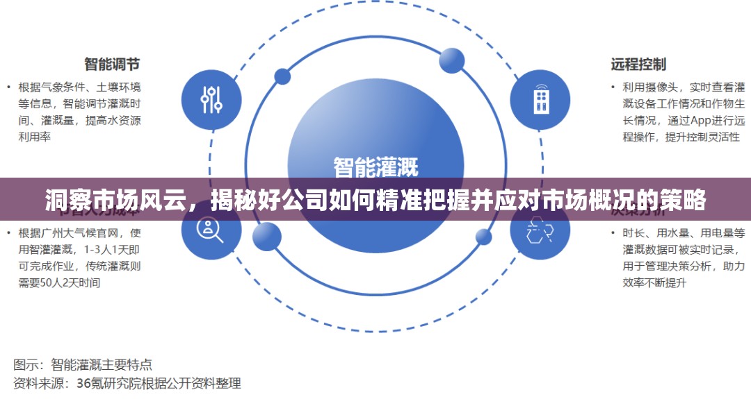 洞察市场风云，揭秘好公司如何精准把握并应对市场概况的策略
