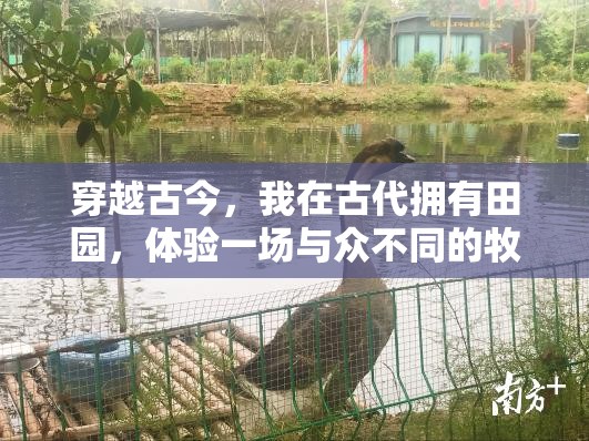 穿越古今，我在古代拥有田园，体验一场与众不同的牧歌生活