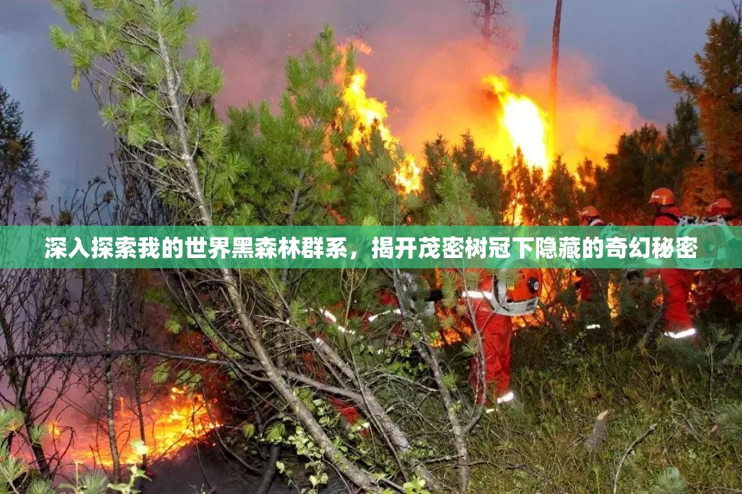 深入探索我的世界黑森林群系，揭开茂密树冠下隐藏的奇幻秘密