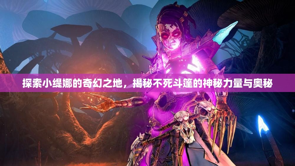 探索小缇娜的奇幻之地，揭秘不死斗篷的神秘力量与奥秘