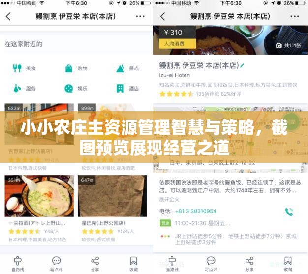 小小农庄主资源管理智慧与策略，截图预览展现经营之道