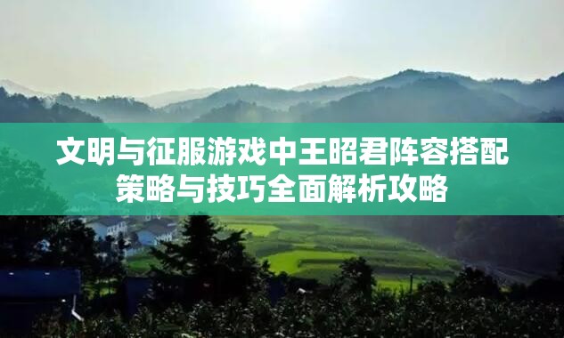 文明与征服游戏中王昭君阵容搭配策略与技巧全面解析攻略