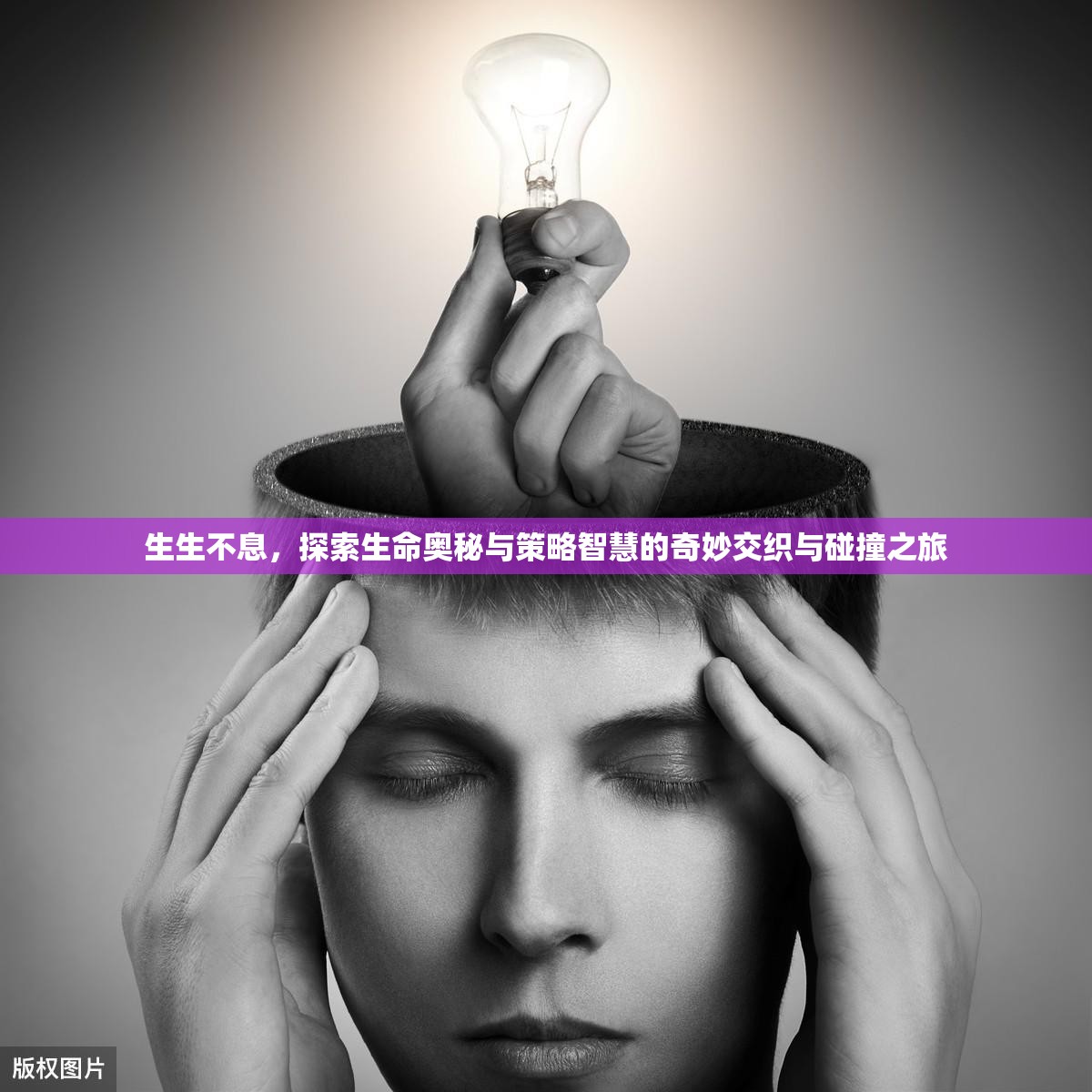 生生不息，探索生命奥秘与策略智慧的奇妙交织与碰撞之旅